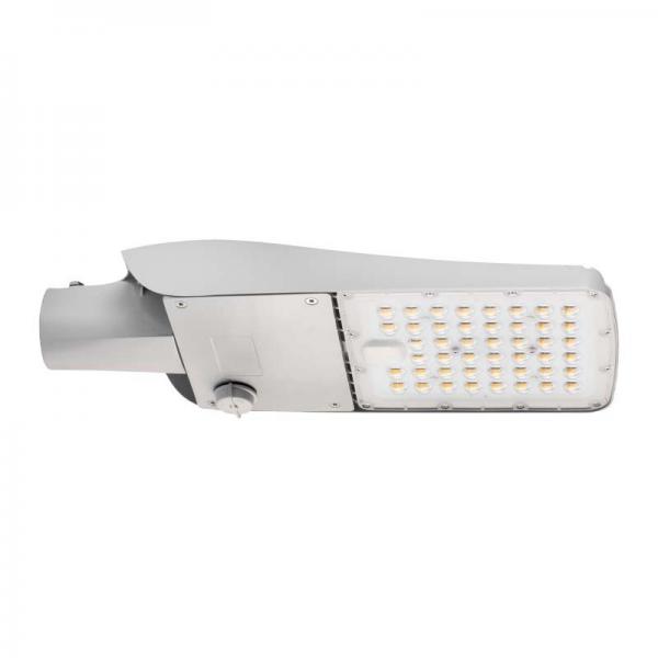 Photo NIKA ZHAGA GRIS 100W 727 | Ref : 302572