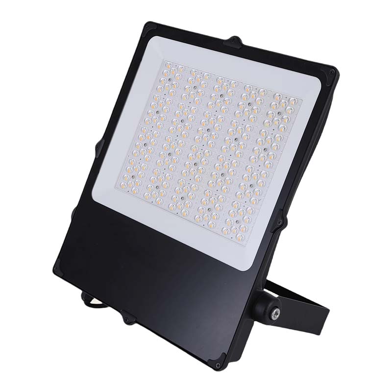 Photo CAMUS II ASYM SPORT 280w | Ref : 302670