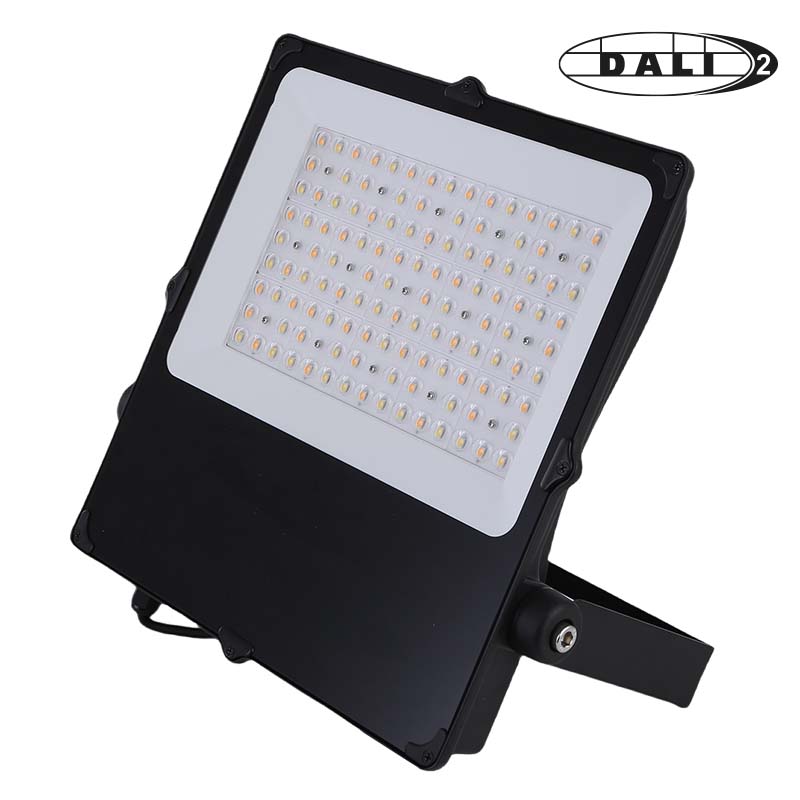 Photo CAMUS II ASYM SPORT 180w DALI | Ref : 302671