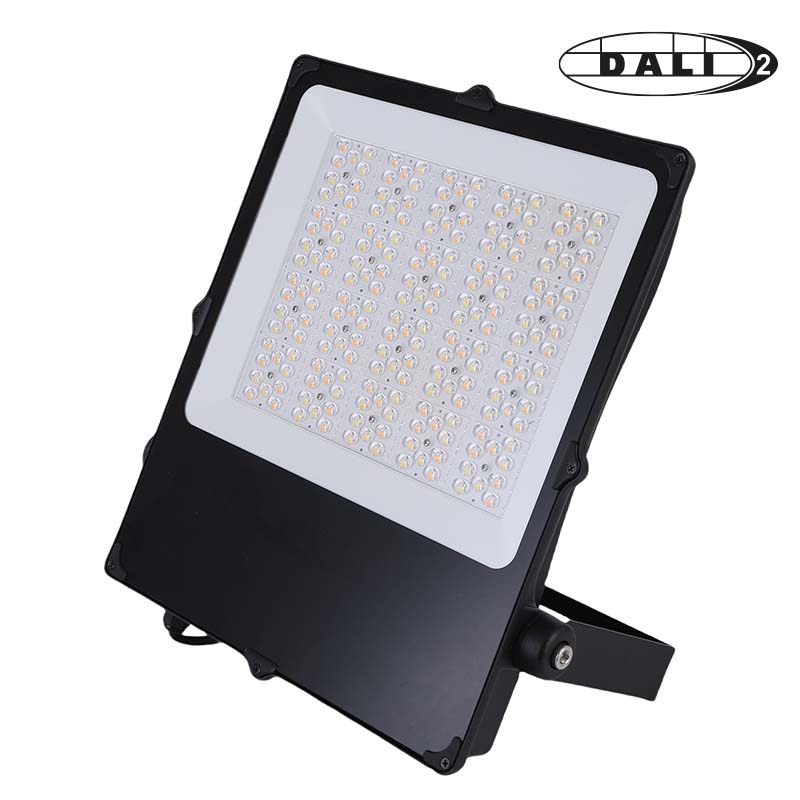 Photo CAMUS II ASYM SPORT 280w DALI | Ref : 302672