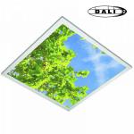 ELECTRA Decosky 36w 2000lm 840 dali 301360