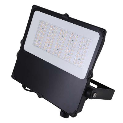 ELECTRA Camus ii asym 3cct 150w 302667