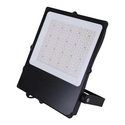 ELECTRA Camus ii asym sport 280w 302670