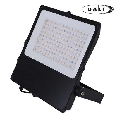 ELECTRA Camus ii asym sport 180w dali 302671