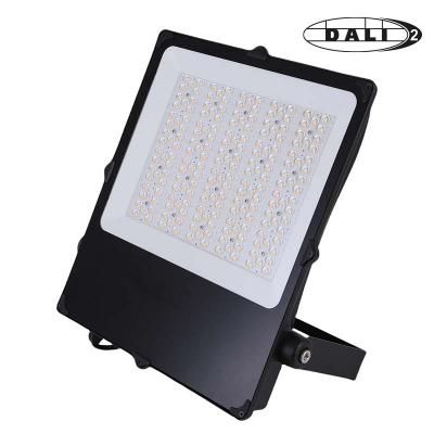 ELECTRA Camus ii asym sport 280w dali 302672