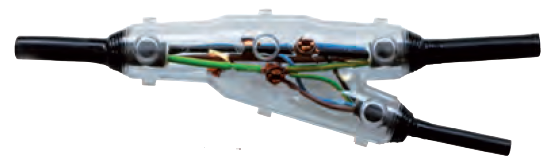 Photo Y0/EG/UE | Ref : Y0