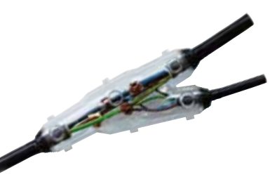 Photo Y1/EG/UE | Ref : Y1