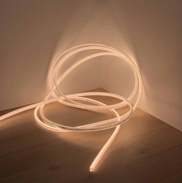 Photo FLEX 2X5,5W 24V CCT IP68 1CM | Ref : LN1071-24SPCCT-1A