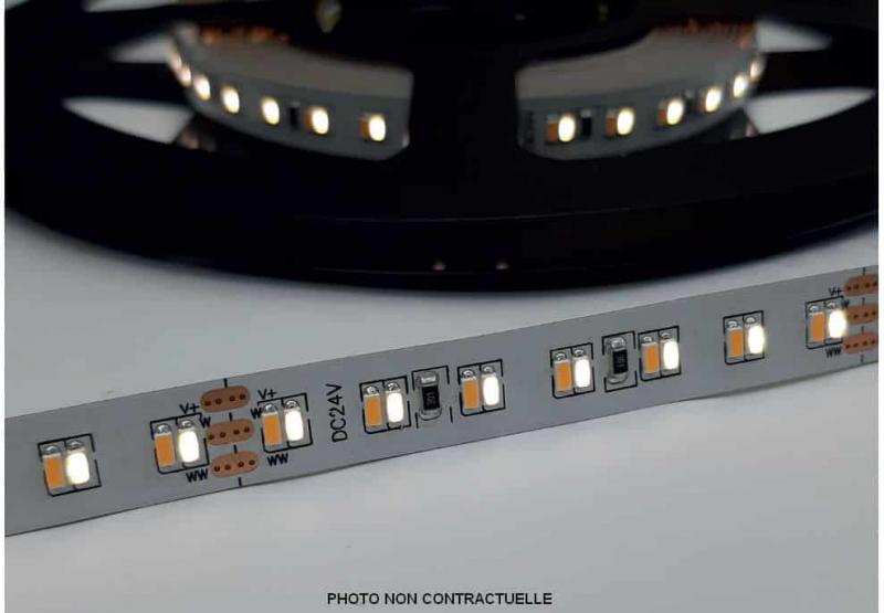 Photo RUBAN 2x6W/M 5M CCT IP65 24V | Ref : LR7390-IP65-24-5BL2560