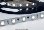 ENGITECHS Ruban 6w 1cm 4000k ip65 12v LR2896-12SPBL40