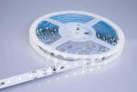 ENGITECHS Ruban 12w 5m ip20 6000k 24v LR3300-IP20-24-5BL60