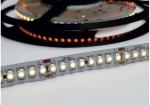ENGITECHS Ruban led 24vdc 15w/m 1600lm/m ip20 1cmt 192leds/m 5500k primeur LR4103-IP20-24SPBL55