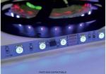 ENGITECHS Ruban 14,4w 5m rgb ip65 24v LR7500-IP65-24-5RGB