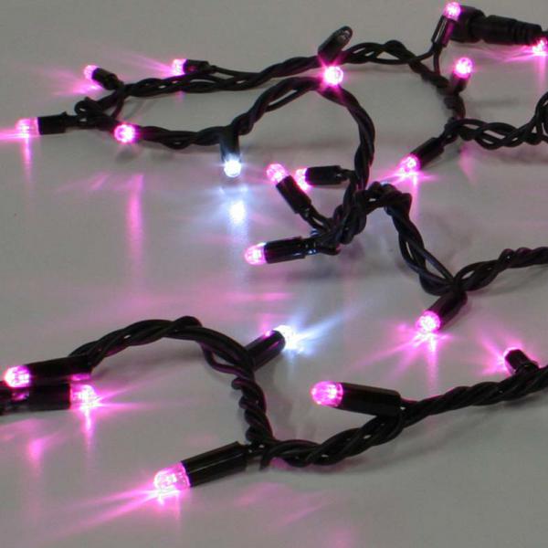 Photo Guirlande LED ptillante - 20m - 200 LED rose ptillant blanc - cble noir - 230V - raccordable | Ref : 54380-2-B7