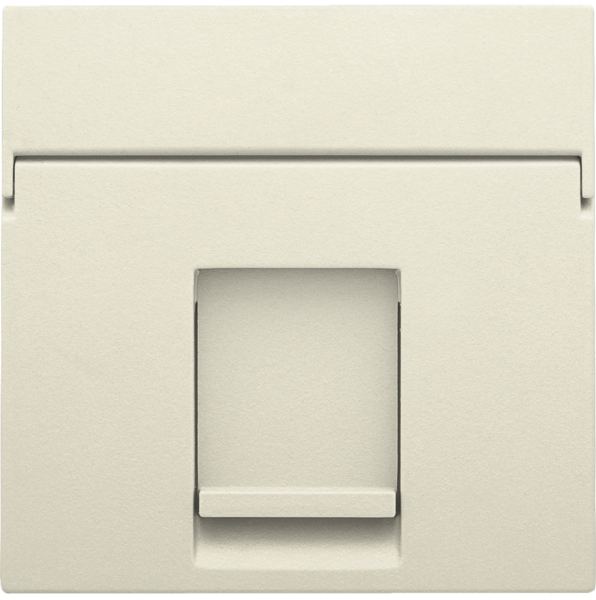 Photo ENJOLIVEUR DATA 1xRJ CREAM | Ref : 100-65100