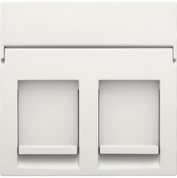 Photo ENJOLIVEUR DATA 2xRJ WHITE | Ref : 101-65200