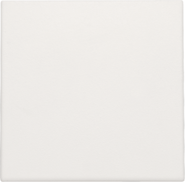 Photo ENJOLIVEUR CACHE-TR WHITE | Ref : 101-76001