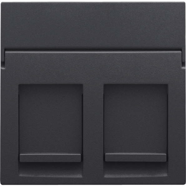 Photo ENJOLIVEUR DATA 2xRJ ANTHRAC. | Ref : 122-65200