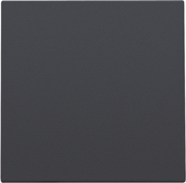 Photo ENJOLIVEUR CACHE-TR ANTHRAC. | Ref : 122-76001