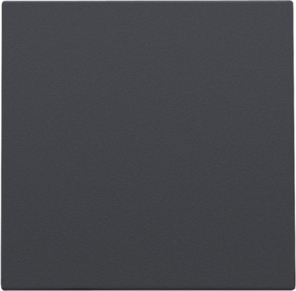 Photo ENJOLIVEUR CACHE-TROU | Ref : 122-76901