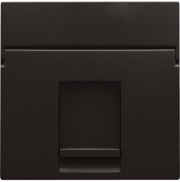 Photo ENJOLIVEUR DATA 1xRJ BROWN | Ref : 124-65100