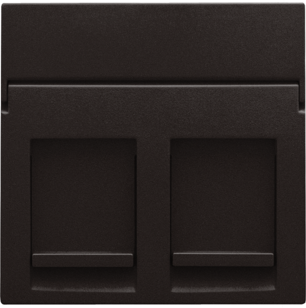 Photo ENJOLIVEUR DATA 2xRJ BROWN | Ref : 124-65200