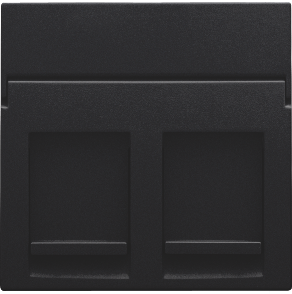 Photo ENJOLIVEUR DATA 2xRJ BLACK | Ref : 161-65200