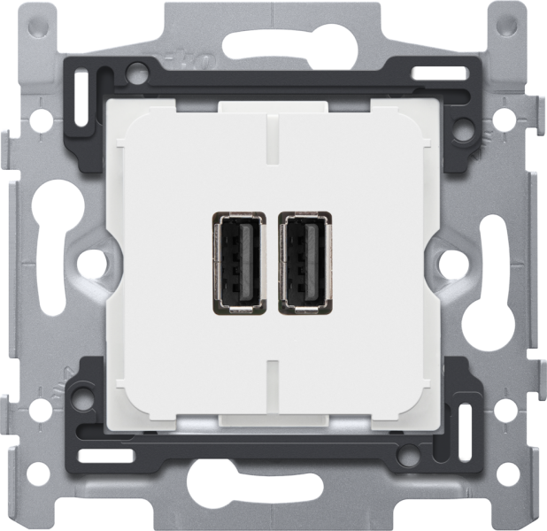 Photo Double chargeur USB-A intelligent, 3,5 A | Ref : 420-00511