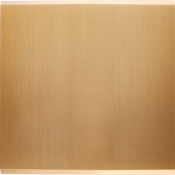 Photo Faade Confidence Laiton Satin simple PC sans vis | Ref : 190419M