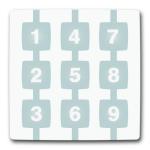 NICE FRANCE Module de commande de 2 groupes WM002G