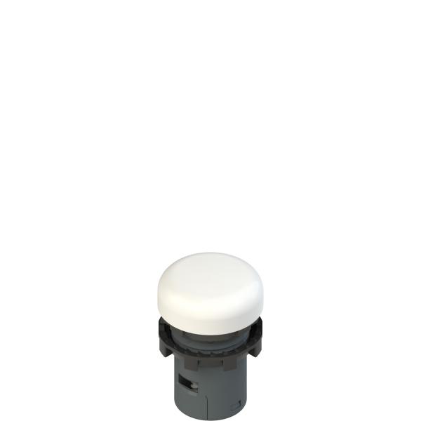 Photo Voyant LED blanc monobloc 230VAC IP 67 | Ref : E6 1IL8A2110