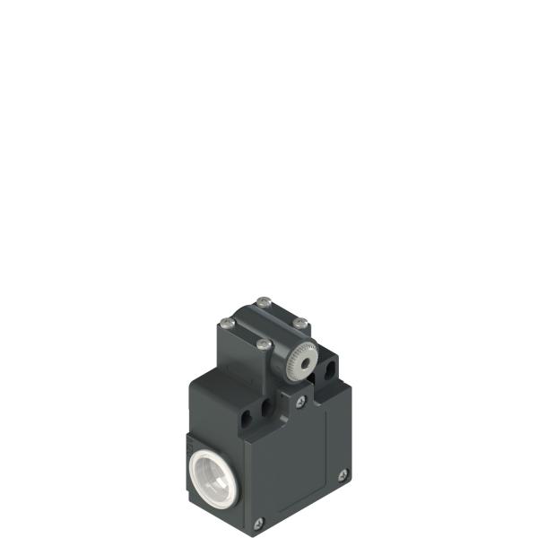 Photo Interrupteur de position pour leviers rotatifs | Ref : FZ 538-M2