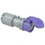 ERIS Prise mobile 24vac 32a femelle 3 poles ip44 273V         