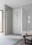 ROTH Porte pivotante avec lment fixe en prolongement  droite, srie pega, pe1ol12020vpr, largeur 1200 mm, hauteur 2000 mm, profil argent poli, verre clair trait anticalcaire 1403034342