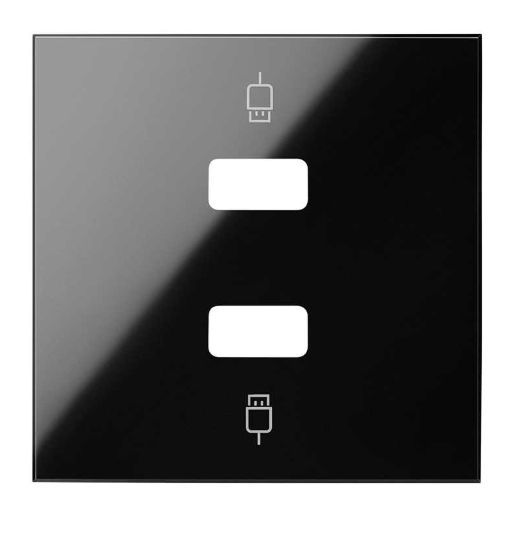 Photo COUVERCLE 2 CONNECTEURS USB 2M | Ref : 10001090-138