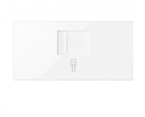 SIMON Couvercle v&d plane cg 1 rj45 10000005-130