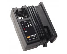 Photo CHARGEUR BAT. PULSA 40 /P800/I | Ref : 018482