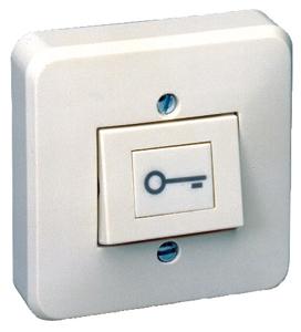 Photo Bouton poussoir ABS NO+NC symbole cl� bornier � vis | Ref : PB1010