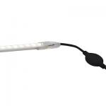 EUROPOLE Rglette led plug & play reg'led 230, diffuseur opale, ip44, 4000k 1000 lm (15 w). longueur 100cm. 230v 823001