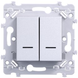 Photo Double InterBP Duo essensya double va-vient ou double poussoir � voyant titane | Ref : WE045T