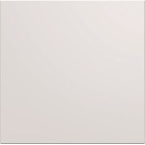 Photo Enjoliveur pour interrupteur gallery 2 modules couleur pure | Ref : WXD000B