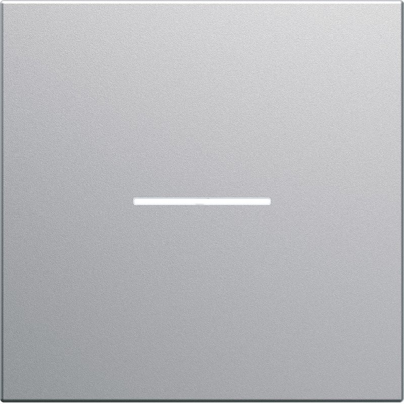 Photo Enjoliveur pour interrupteur  voyant gallery  2 modules titane | Ref : WXD001T