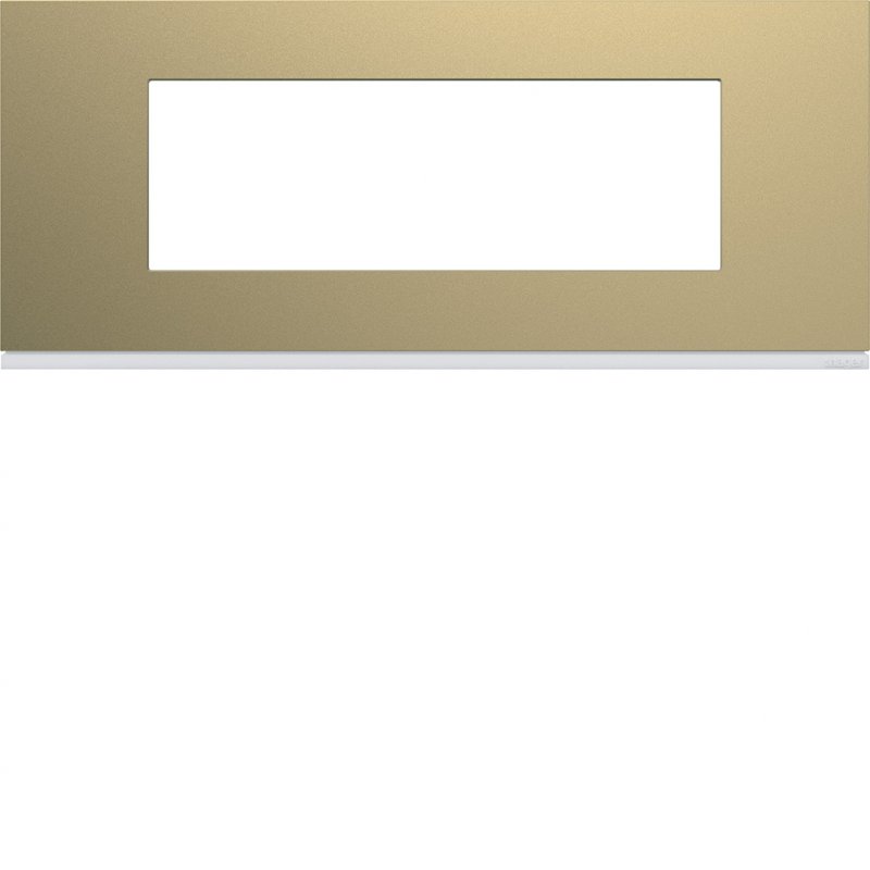 Photo Plaque gallery plastique peint 6 modules entraxe 57mm champagne | Ref : WXP0406