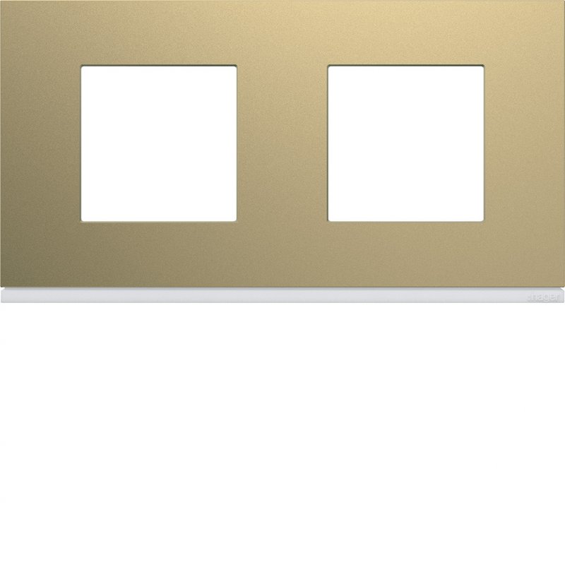 Photo Plaque gallery plastique peint 2 postes horizontale 71mm champagne | Ref : WXP0412