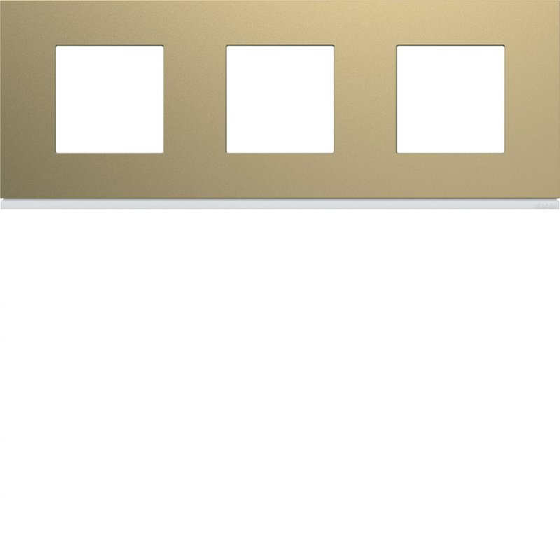 Photo Plaque gallery plastique peint 3 postes horizontale 71mm champagne | Ref : WXP0413
