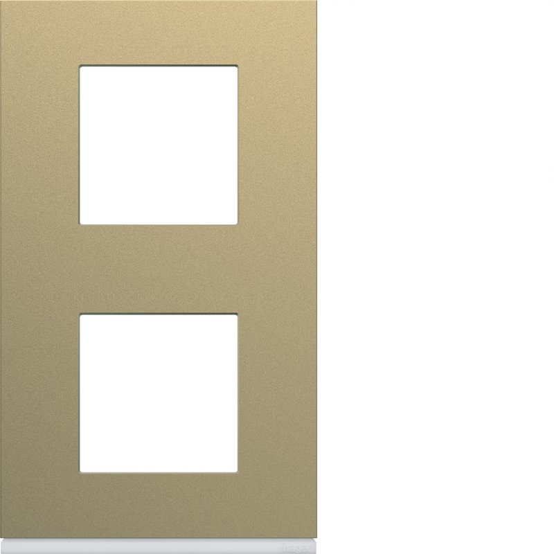 Photo Plaque gallery plastique peint 2 postes verticale 71mm champagne | Ref : WXP0442