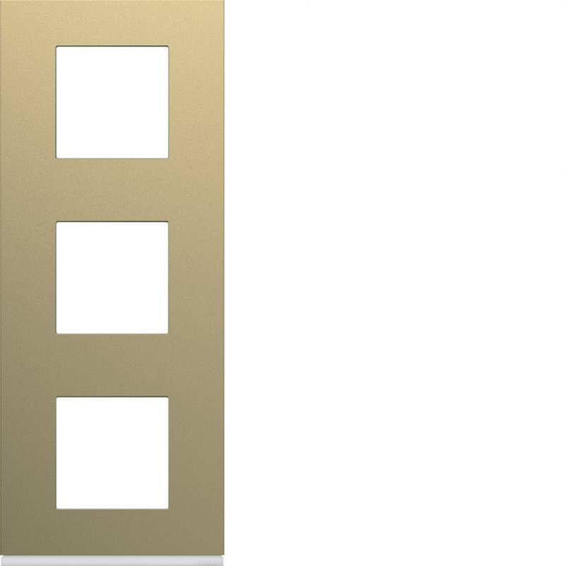 Photo Plaque gallery plastique peint 3 postes verticale 71mm champagne | Ref : WXP0443