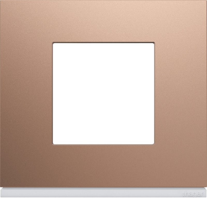 Photo Plaque de finition Gallery 2 modules Ros entraxe 71 mm | Ref : WXP0502