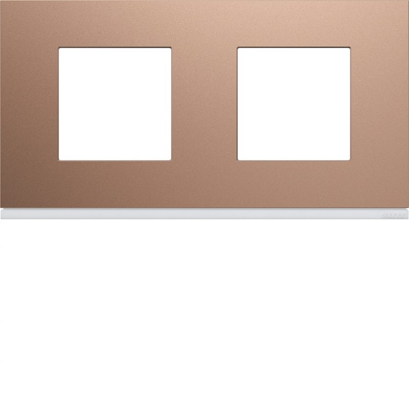 Photo Plaque gallery plastique peint 2 postes horizontale 71mm ros | Ref : WXP0512