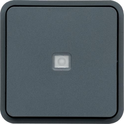 Photo cubyko Inter VV témoin associable gris IP55 | Ref : WNA003